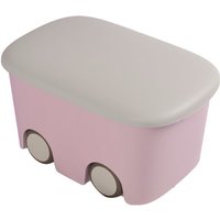 Jardin202 - Cajas de Almacenaje Transparentes – Cajas Organizadoras de Plástico con Tapa