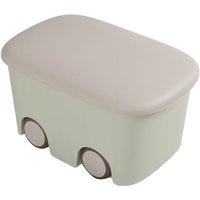 JARDIN202 - Cajas de Almacenaje Transparentes – Cajas Organizadoras de Plástico con Tapa Pack 2 uds (Verde Claro 45L)