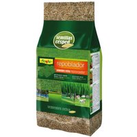 Flower - Semillas de Césped Repoblador, 1 kg