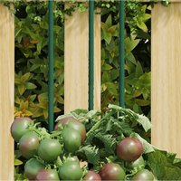 Tutores para plantas de jardín 30 unidades acero verde 60 cm